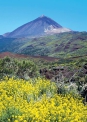 Zajrzeć do krateru - Królestwo wulkanu Teide Pico del Teide – perła Teneryfy